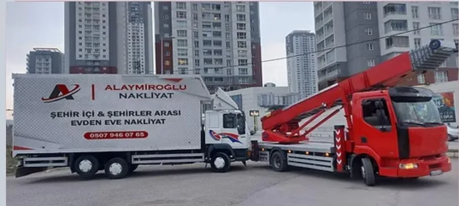 Alay Miroğlu Nakliyat Logo